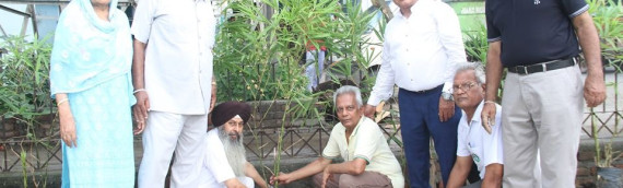 Consecutive 5Th Year Of Plantation Drive At Our Premises- July 28, 2019